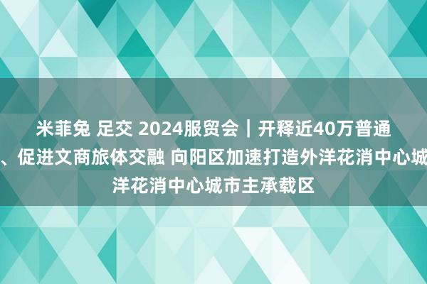 米菲兔 足交 2024服贸会｜开释近40万普通米生意空间、促进文商旅体交融 向阳区加速打造外洋花消中心城市主承载区