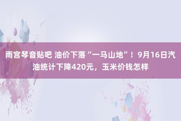 雨宫琴音贴吧 油价下落“一马山地”！9月16日汽油统计下降420元，玉米价钱怎样