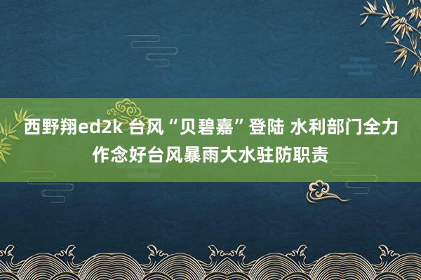 西野翔ed2k 台风“贝碧嘉”登陆 水利部门全力作念好台风暴雨大水驻防职责