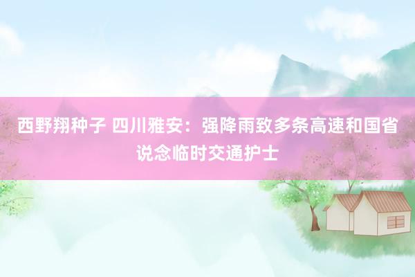 西野翔种子 四川雅安：强降雨致多条高速和国省说念临时交通护士