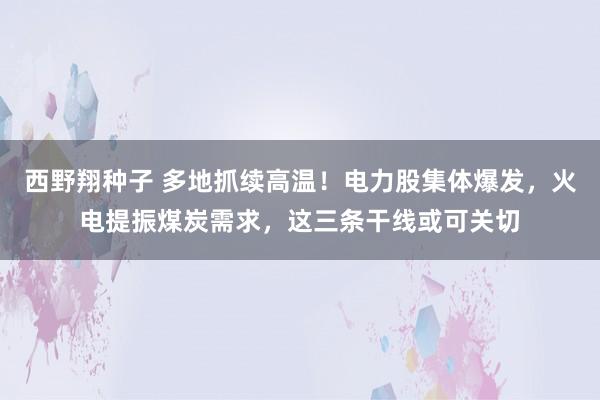 西野翔种子 多地抓续高温！电力股集体爆发，火电提振煤炭需求，这三条干线或可关切