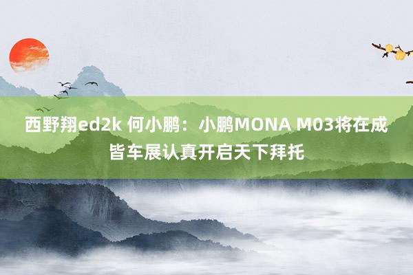 西野翔ed2k 何小鹏：小鹏MONA M03将在成皆车展认真开启天下拜托