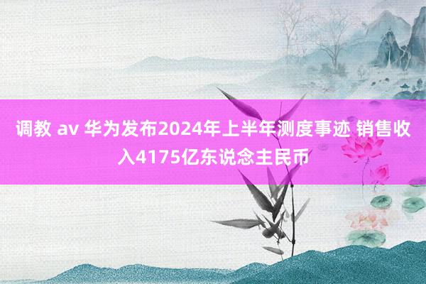 调教 av 华为发布2024年上半年测度事迹 销售收入4175亿东说念主民币