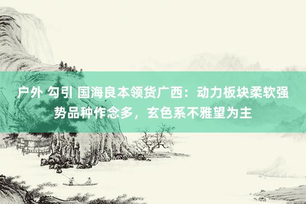 户外 勾引 国海良本领货广西：动力板块柔软强势品种作念多，玄色系不雅望为主