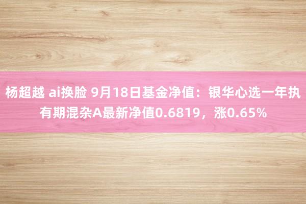 杨超越 ai换脸 9月18日基金净值：银华心选一年执有期混杂A最新净值0.6819，涨0.65%