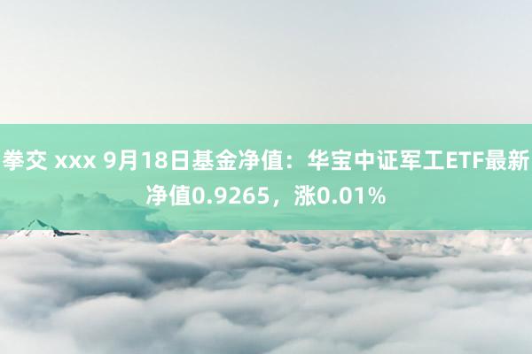 拳交 xxx 9月18日基金净值：华宝中证军工ETF最新净值0.9265，涨0.01%