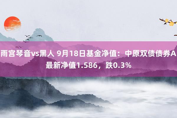 雨宫琴音vs黑人 9月18日基金净值：中原双债债券A最新净值1.586，跌0.3%