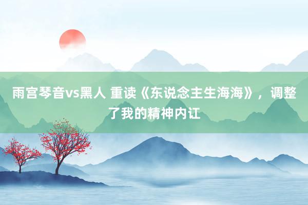 雨宫琴音vs黑人 重读《东说念主生海海》，调整了我的精神内讧