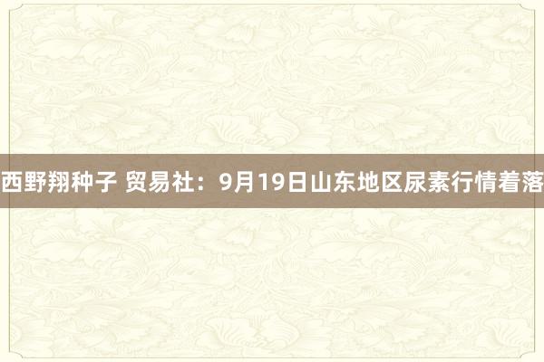 西野翔种子 贸易社：9月19日山东地区尿素行情着落