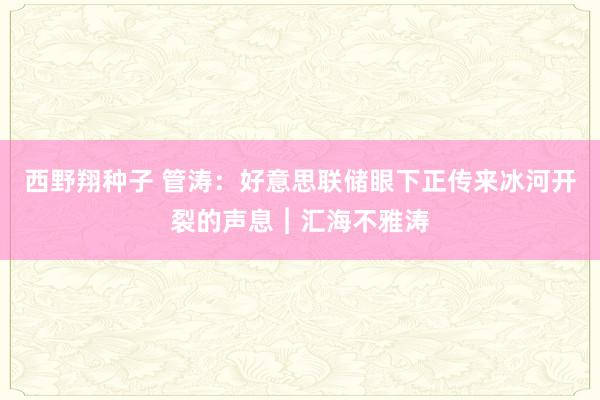 西野翔种子 管涛：好意思联储眼下正传来冰河开裂的声息︱汇海不雅涛