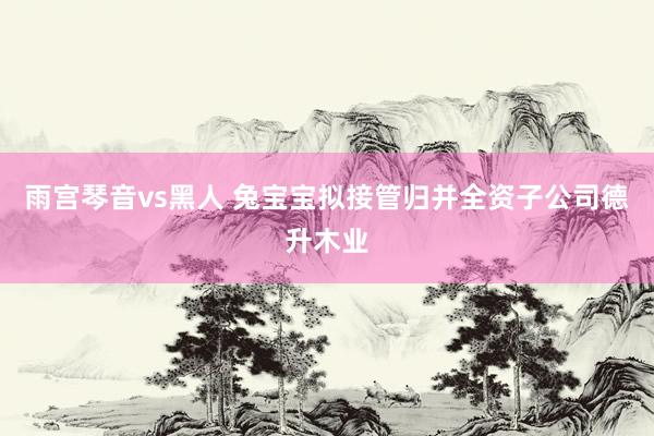 雨宫琴音vs黑人 兔宝宝拟接管归并全资子公司德升木业