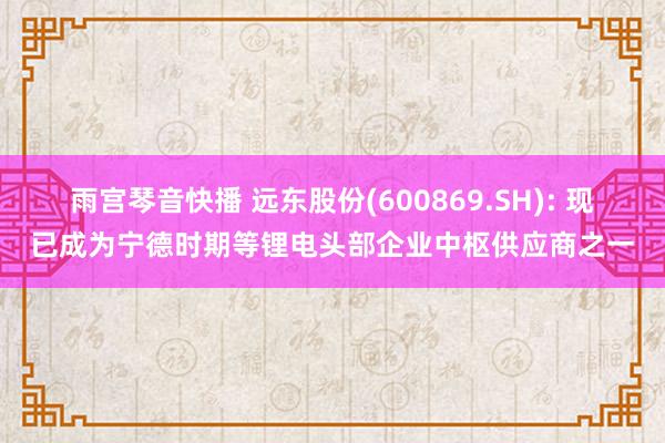 雨宫琴音快播 远东股份(600869.SH): 现已成为宁德时期等锂电头部企业中枢供应商之一