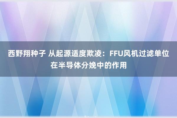 西野翔种子 从起源适度欺凌：FFU风机过滤单位在半导体分娩中的作用