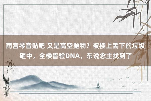 雨宫琴音贴吧 又是高空抛物？被楼上丢下的垃圾砸中，全楼皆验DNA，东说念主找到了