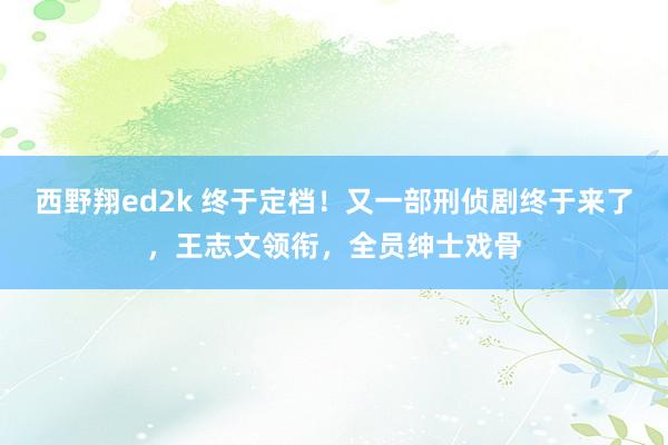 西野翔ed2k 终于定档！又一部刑侦剧终于来了，王志文领衔，全员绅士戏骨