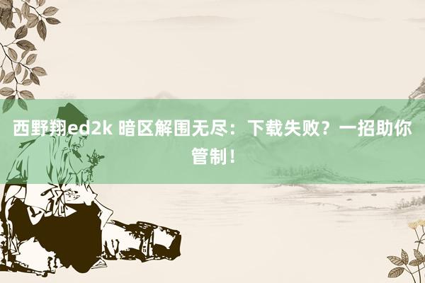 西野翔ed2k 暗区解围无尽：下载失败？一招助你管制！