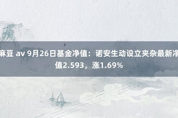 麻豆 av 9月26日基金净值：诺安生动设立夹杂最新净值2.593，涨1.69%