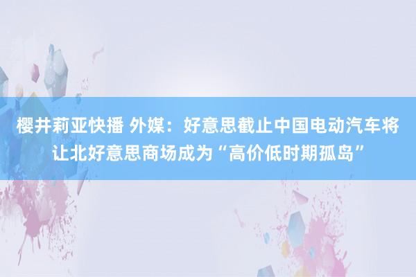 樱井莉亚快播 外媒：好意思截止中国电动汽车将让北好意思商场成为“高价低时期孤岛”