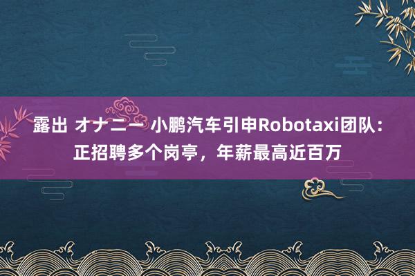 露出 オナニー 小鹏汽车引申Robotaxi团队：正招聘多个岗亭，年薪最高近百万