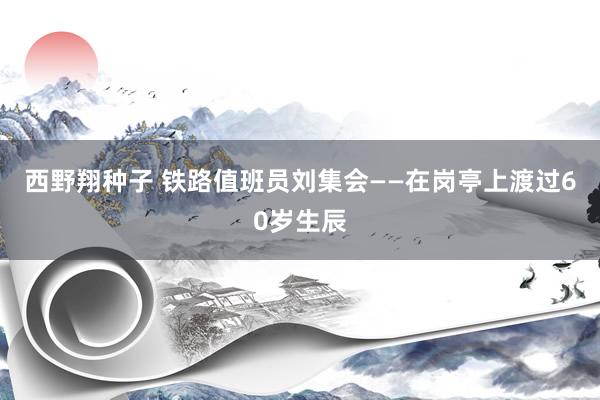 西野翔种子 铁路值班员刘集会——在岗亭上渡过60岁生辰