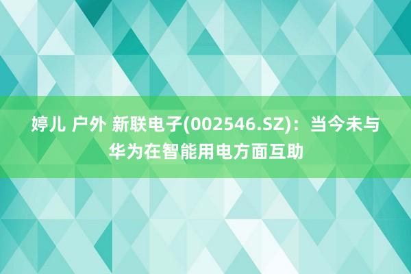 婷儿 户外 新联电子(002546.SZ)：当今未与华为在智能用电方面互助