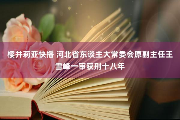 樱井莉亚快播 河北省东谈主大常委会原副主任王雪峰一审获刑十八年