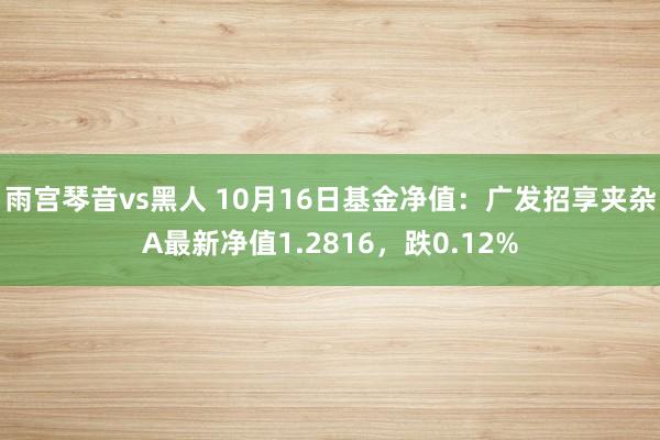 雨宫琴音vs黑人 10月16日基金净值：广发招享夹杂A最新净值1.2816，跌0.12%