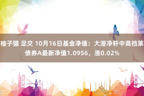 柚子猫 足交 10月16日基金净值：大澄净轩中高档第债券A最新净值1.0956，涨0.02%