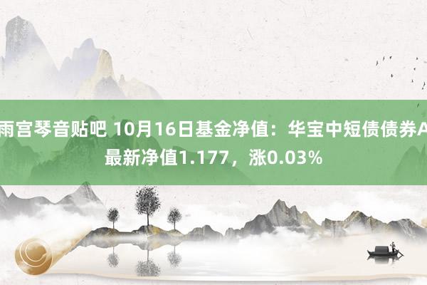 雨宫琴音贴吧 10月16日基金净值：华宝中短债债券A最新净值1.177，涨0.03%