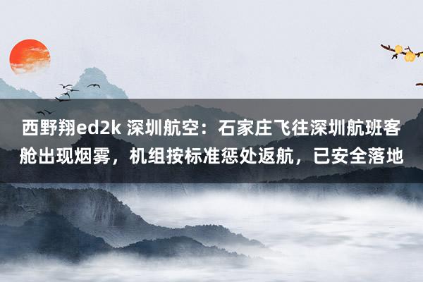 西野翔ed2k 深圳航空：石家庄飞往深圳航班客舱出现烟雾，机组按标准惩处返航，已安全落地