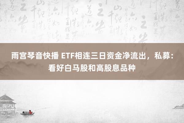 雨宫琴音快播 ETF相连三日资金净流出，私募：看好白马股和高股息品种