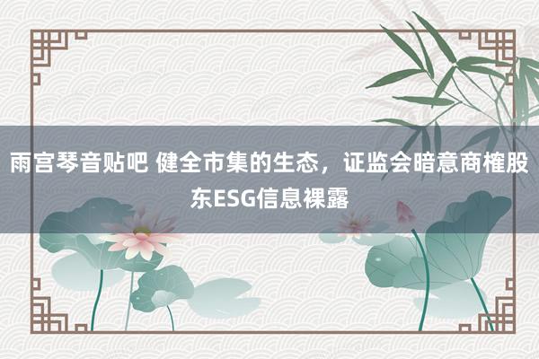 雨宫琴音贴吧 健全市集的生态，证监会暗意商榷股东ESG信息裸露