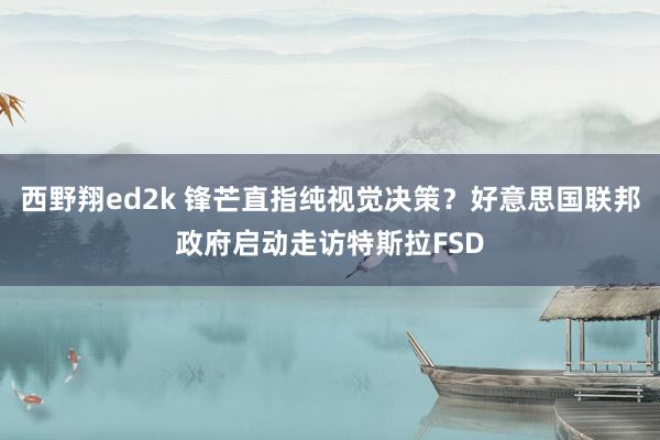 西野翔ed2k 锋芒直指纯视觉决策？好意思国联邦政府启动走访特斯拉FSD