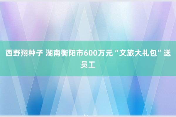 西野翔种子 湖南衡阳市600万元“文旅大礼包”送员工