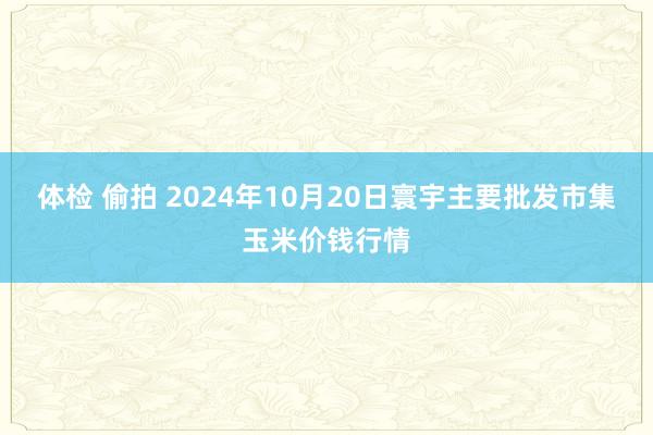 体检 偷拍 2024年10月20日寰宇主要批发市集玉米价钱行情