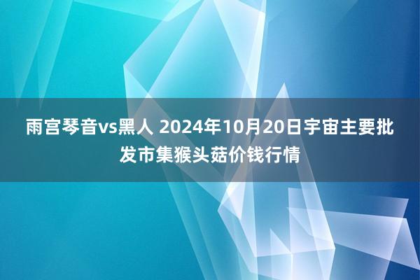 雨宫琴音vs黑人 2024年10月20日宇宙主要批发市集猴头菇价钱行情