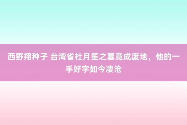 西野翔种子 台湾省杜月笙之墓竟成废地，他的一手好字如今凄沧