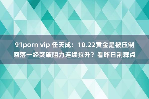 91porn vip 任天成：10.22黄金是被压制回落一经突破阻力连续拉升？看昨日荆棘点