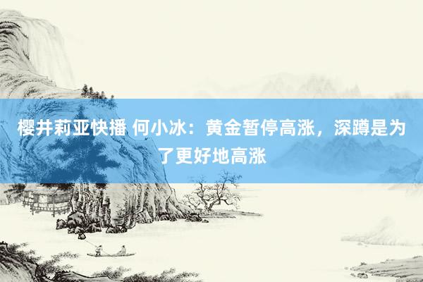 樱井莉亚快播 何小冰：黄金暂停高涨，深蹲是为了更好地高涨