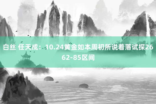 白丝 任天成：10.24黄金如本周初所说着落试探2662-85区间