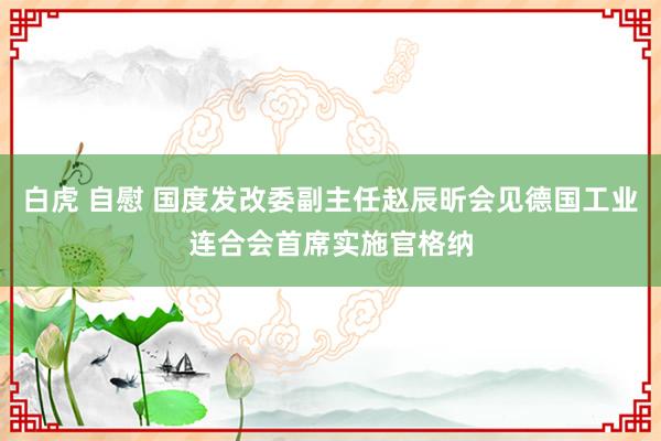 白虎 自慰 国度发改委副主任赵辰昕会见德国工业连合会首席实施官格纳