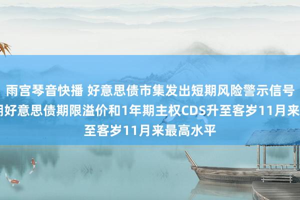 雨宫琴音快播 好意思债市集发出短期风险警示信号：10年期好意思债期限溢价和1年期主权CDS升至客岁11月来最高水平