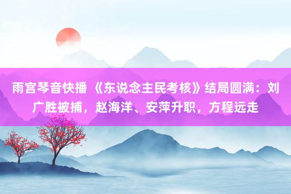 雨宫琴音快播 《东说念主民考核》结局圆满：刘广胜被捕，赵海洋、安萍升职，方程远走