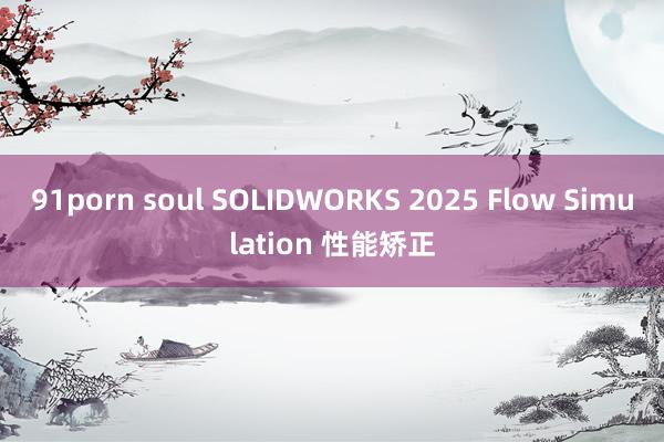 91porn soul SOLIDWORKS 2025 Flow Simulation 性能矫正