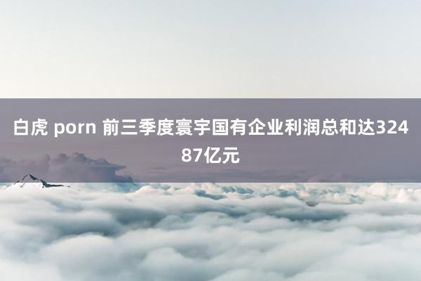 白虎 porn 前三季度寰宇国有企业利润总和达32487亿元