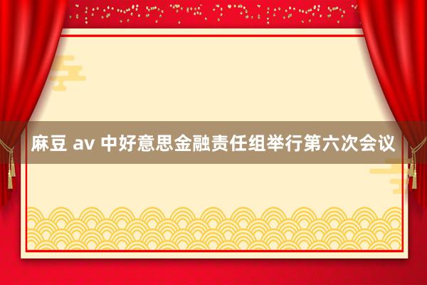 麻豆 av 中好意思金融责任组举行第六次会议