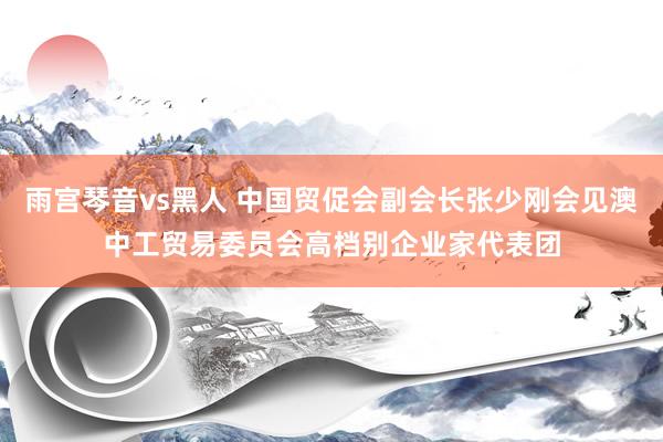 雨宫琴音vs黑人 中国贸促会副会长张少刚会见澳中工贸易委员会高档别企业家代表团