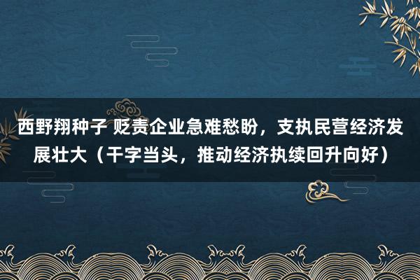 西野翔种子 贬责企业急难愁盼，支执民营经济发展壮大（干字当头，推动经济执续回升向好）