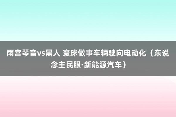 雨宫琴音vs黑人 寰球做事车辆驶向电动化（东说念主民眼·新能源汽车）