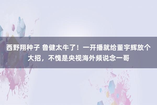 西野翔种子 鲁健太牛了！一开播就给董宇辉放个大招，不愧是央视海外频说念一哥